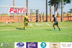DLF_0115 DLF_0115