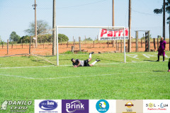 DLF_0132 DLF_0132